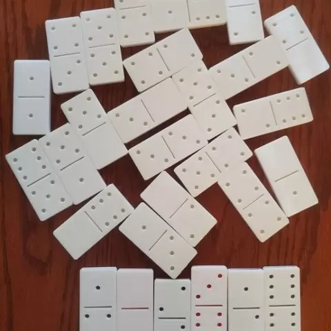Dominoes with Inserts