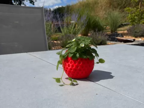 Strawberry Planter – Erdbeer Blumentopf / Vase