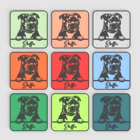 Staffie 030A