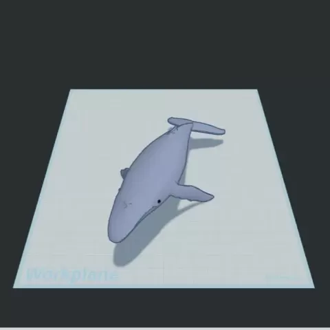humpback whale - Theodore