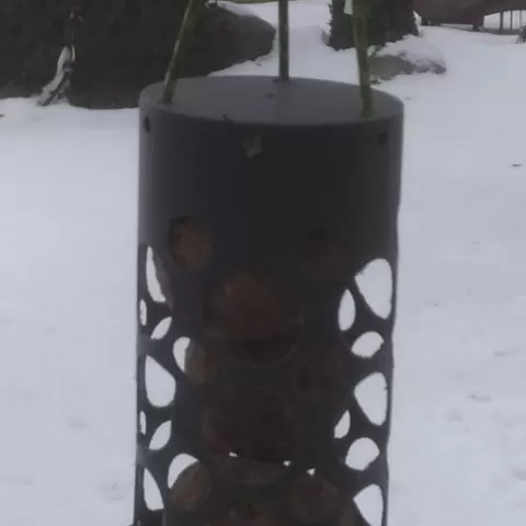 Bird feeder