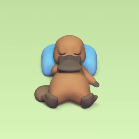 Platypus Sleeping