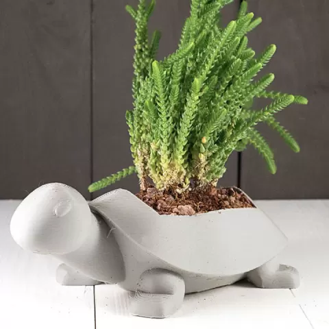 Turtle Planter by Nathan