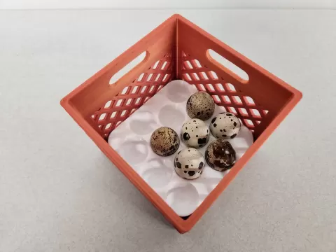 Mini Milk Crate with Quail Egg Tray (4.5”x4.5”) – Stackable & Space-Saving Storage