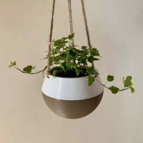 Hanging Planter by 3D Bunny