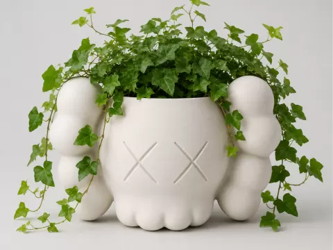 Maceta Kaws