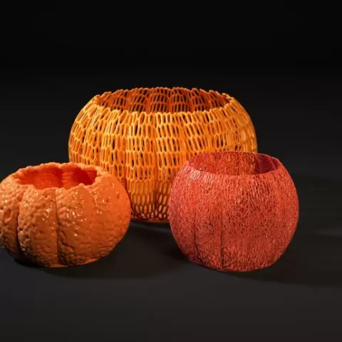 Pumpkin vases