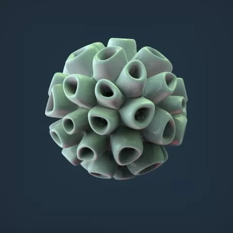 CORAL REEF