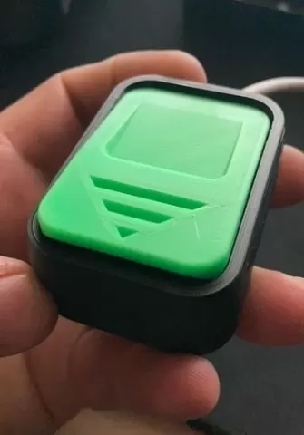 Big button (Garage door switch)