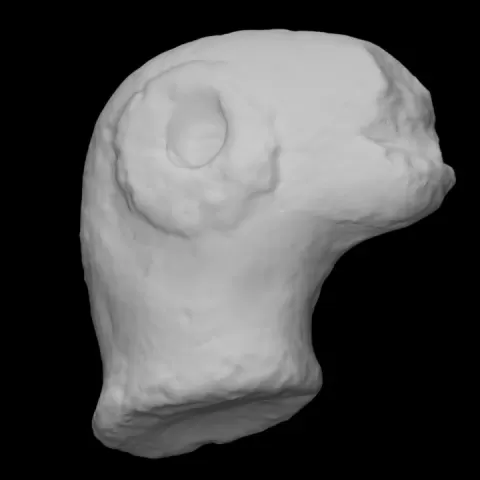 Mexican Figurine Head by Virtual Curation Lab