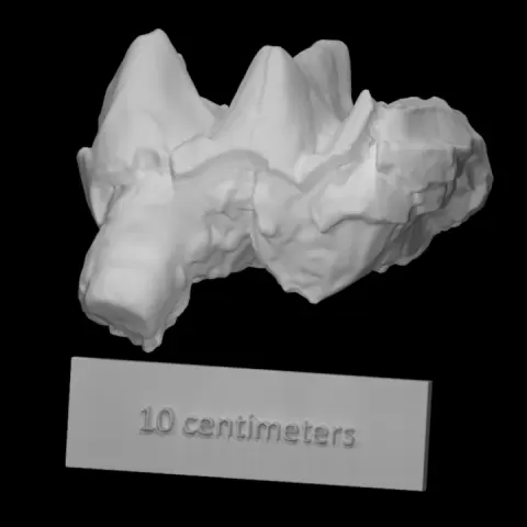 Folger Mastodon Molar by Virtual Curation Lab