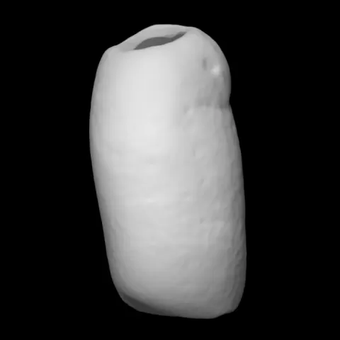 Stone Bead by Virtual Curation Lab