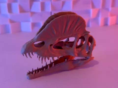 Dilophosaurus Skull V2 (15-25 Grams)