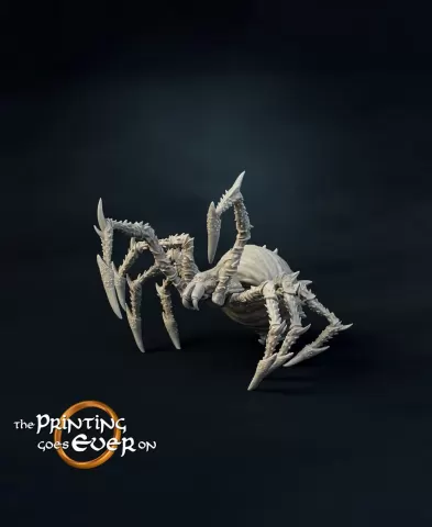 Small Spider B