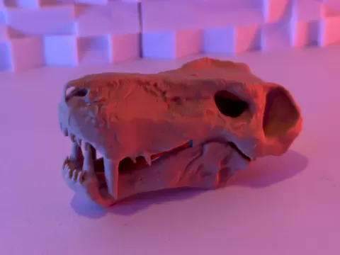 Gorgonopsid Skull (15-25 Grams)